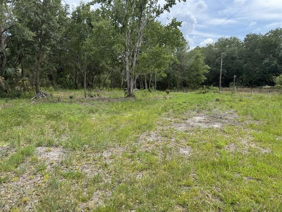 На продажу: $75,000 (1.19 acres)