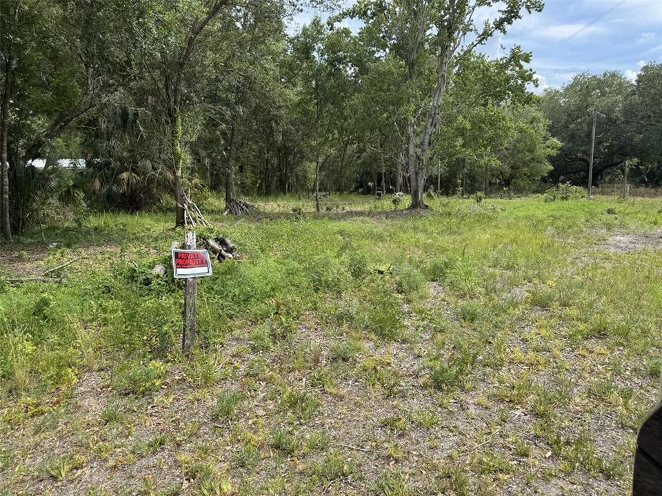 На продажу: $75,000 (1.19 acres)