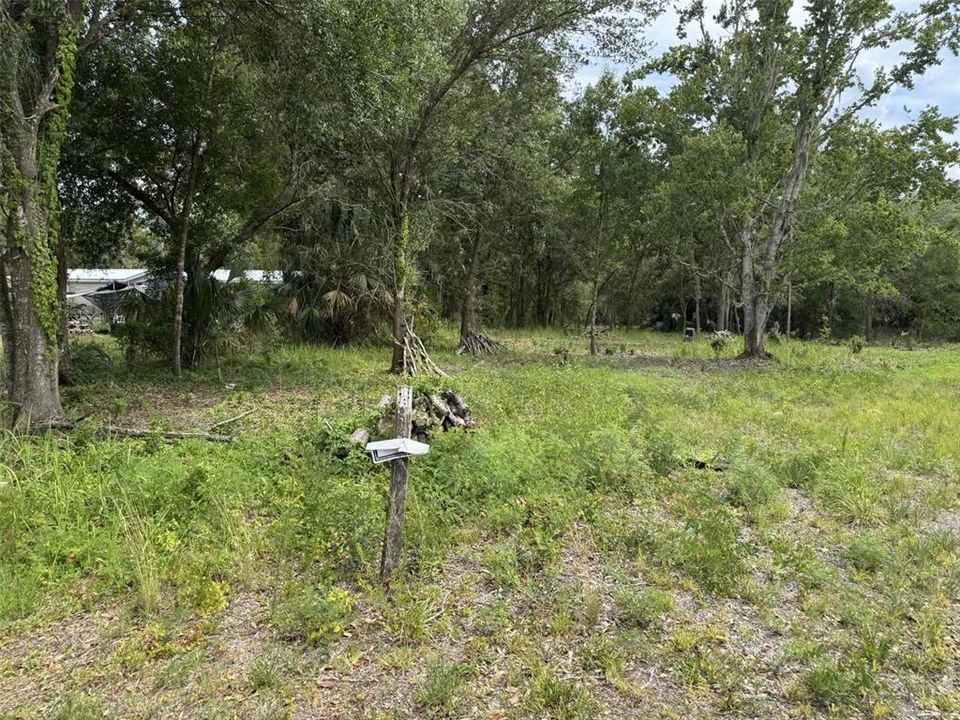 На продажу: $75,000 (1.19 acres)