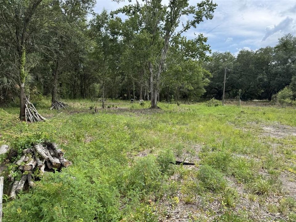 На продажу: $75,000 (1.19 acres)