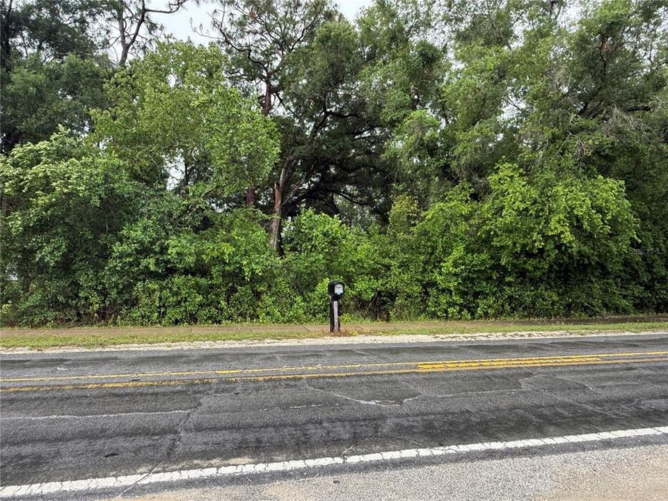 For Sale: $60,000 (0.22 acres)