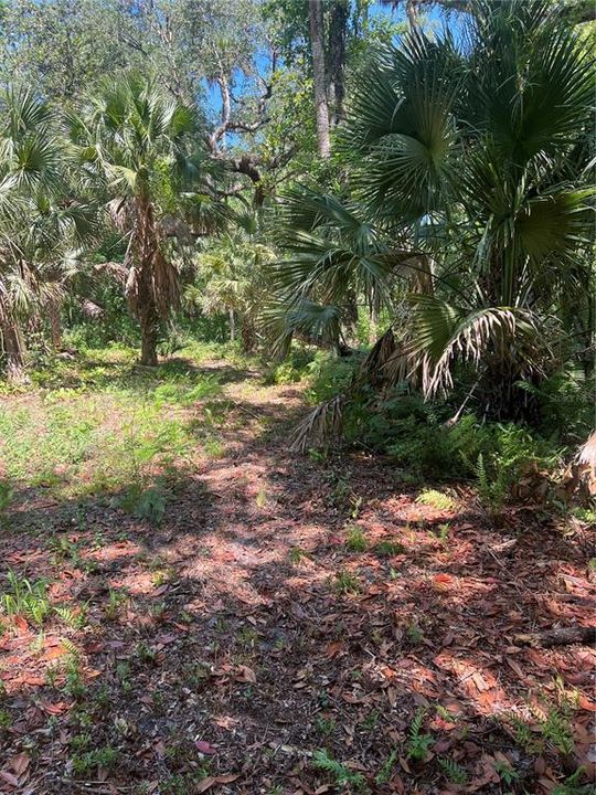 For Sale: $550,000 (3 beds, 0 baths, 1708 Square Feet)
