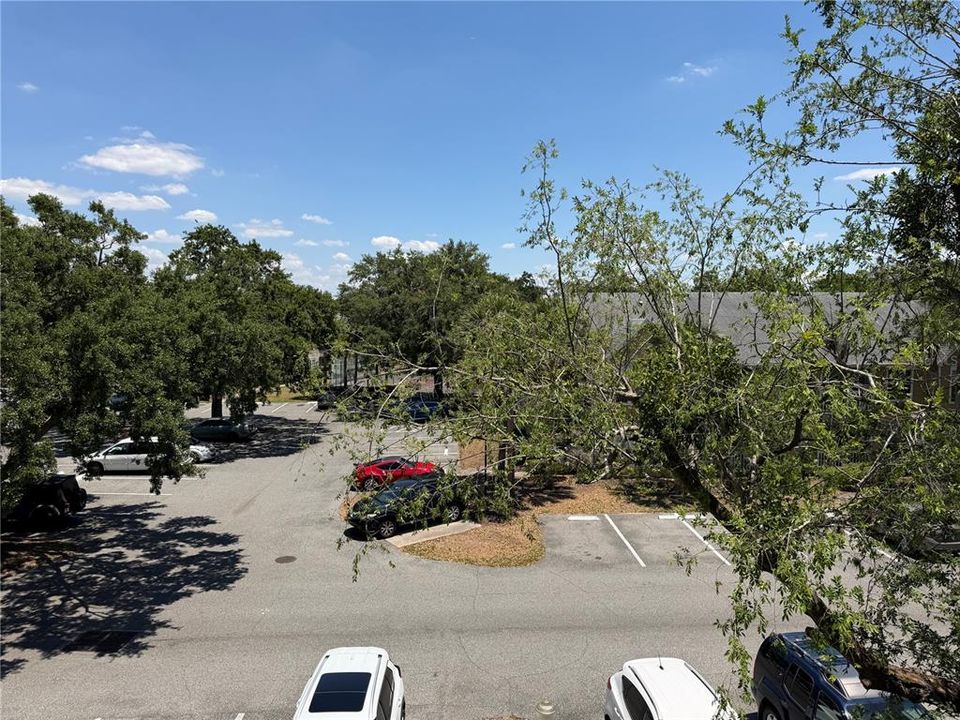 For Sale: $130,000 (1 beds, 1 baths, 673 Square Feet)