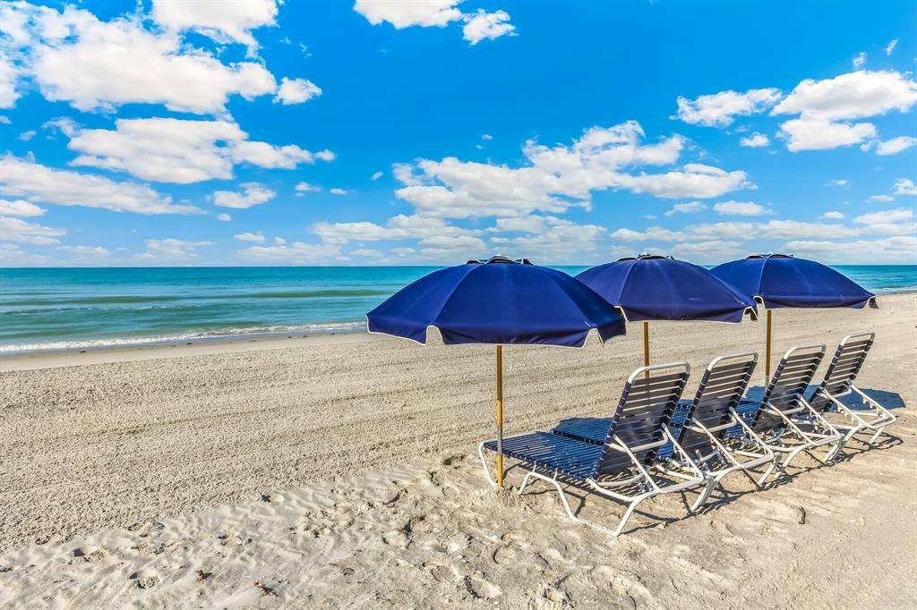 For Sale: $495,000 (1 beds, 1 baths, 686 Square Feet)