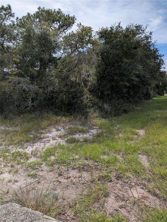 待售: $29,700 (0.16 acres)