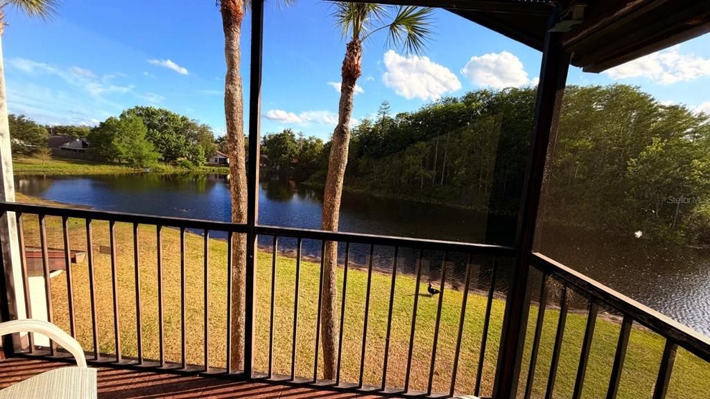 For Rent: $1,995 (3 beds, 2 baths, 1319 Square Feet)