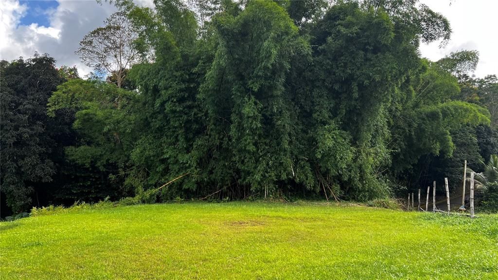 For Sale: $124,000 (0.29 acres)