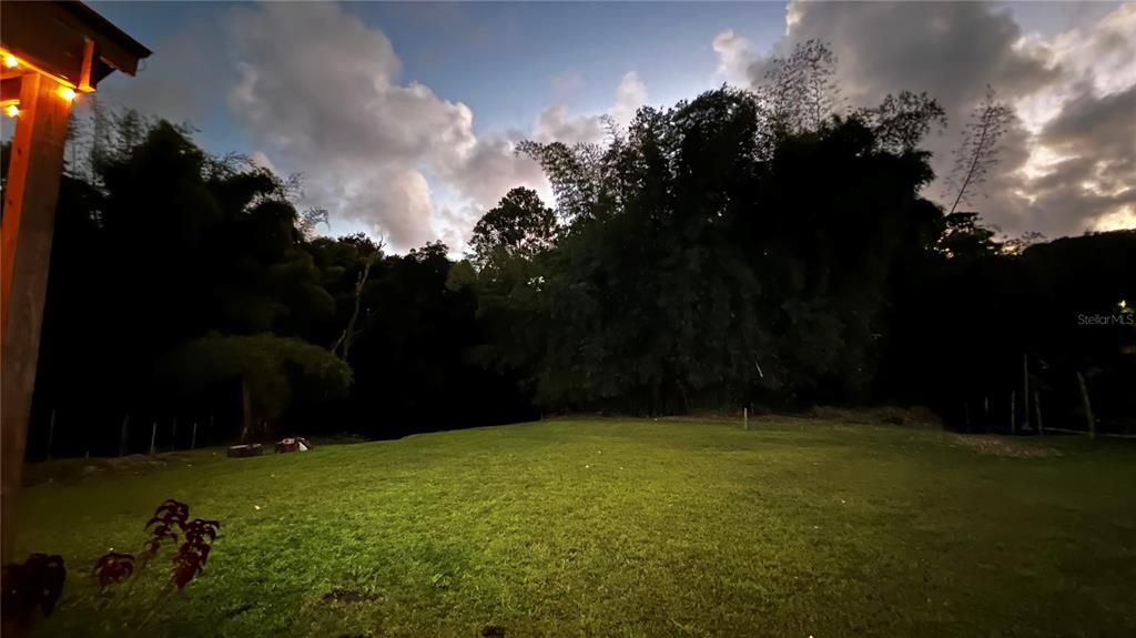 For Sale: $124,000 (0.29 acres)