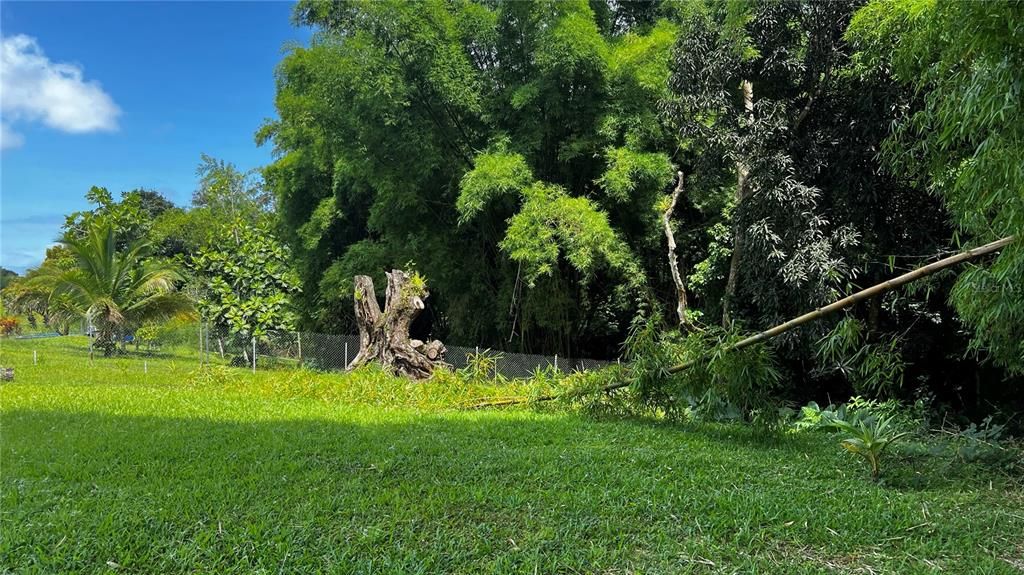 For Sale: $124,000 (0.29 acres)