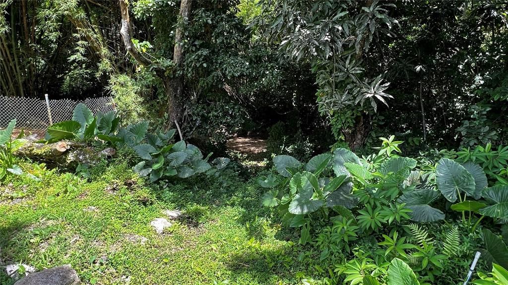 For Sale: $124,000 (0.29 acres)