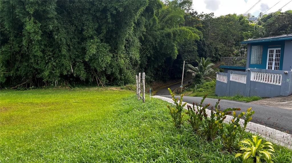 For Sale: $124,000 (0.29 acres)