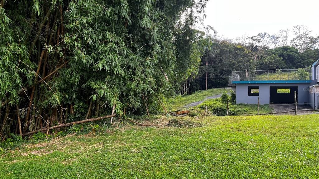 For Sale: $124,000 (0.29 acres)