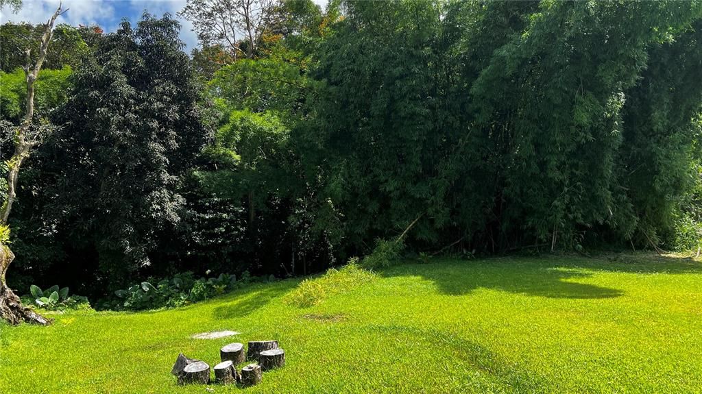 For Sale: $124,000 (0.29 acres)