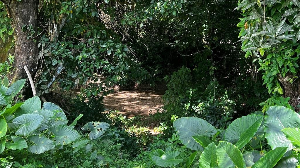 For Sale: $124,000 (0.29 acres)