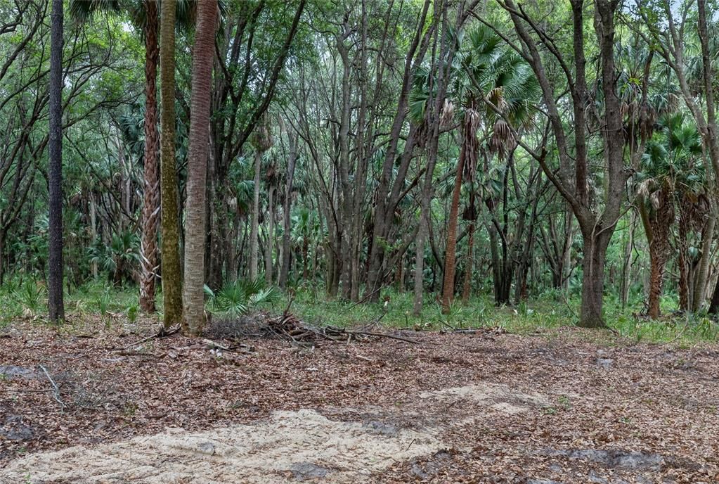 На продажу: $199,999 (5.49 acres)