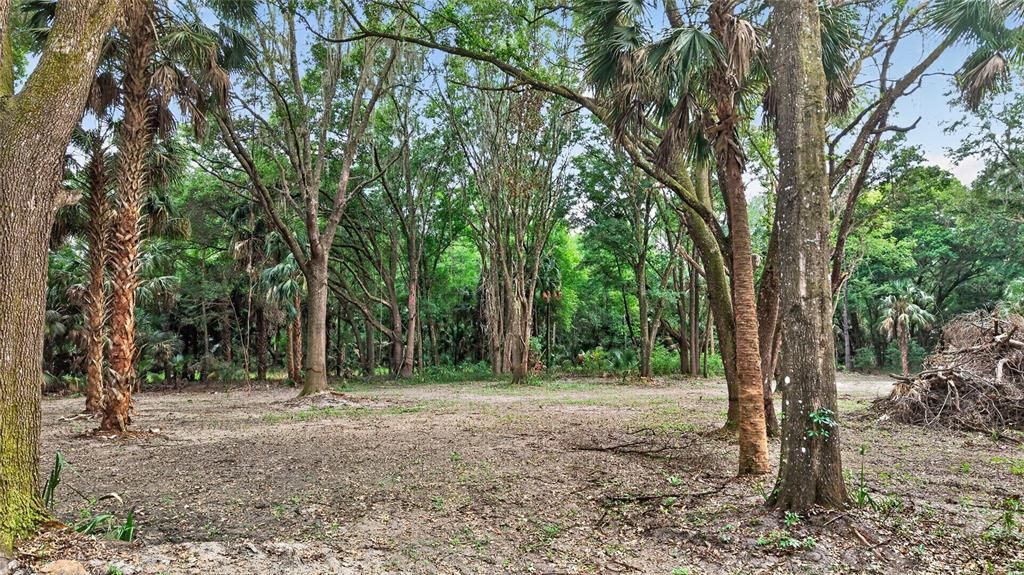 На продажу: $199,999 (5.49 acres)