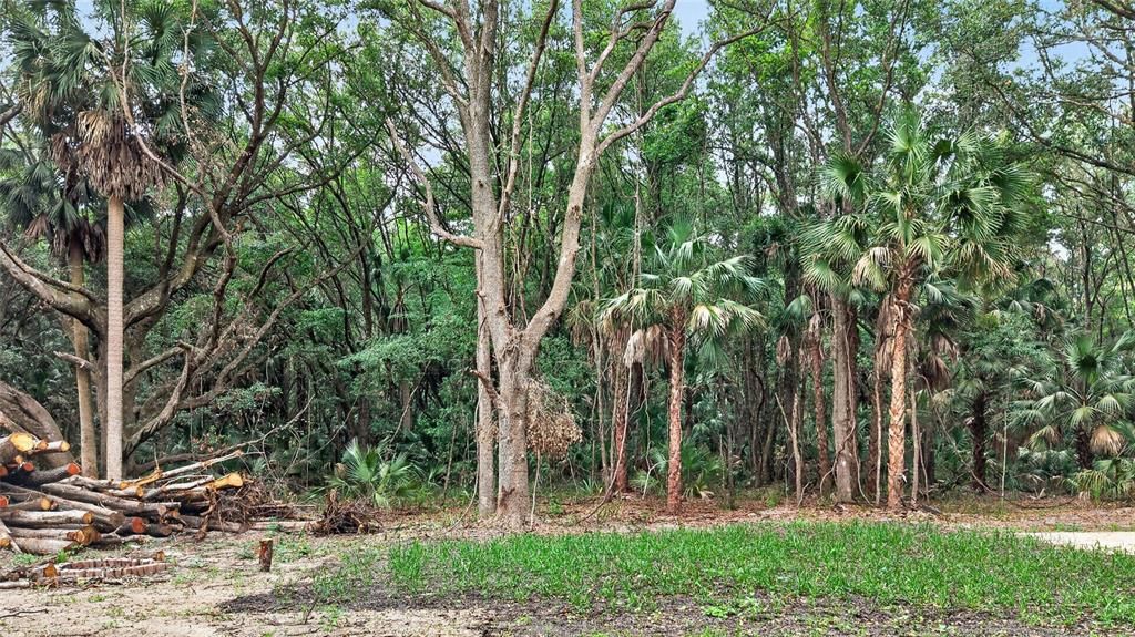 На продажу: $199,999 (5.49 acres)