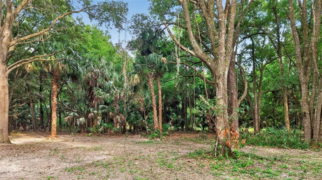 На продажу: $199,999 (5.49 acres)