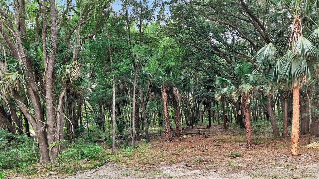 На продажу: $199,999 (5.49 acres)