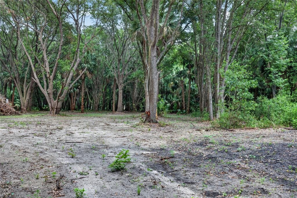 На продажу: $199,999 (5.49 acres)