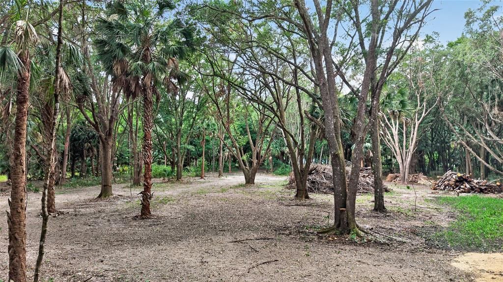 На продажу: $199,999 (5.49 acres)