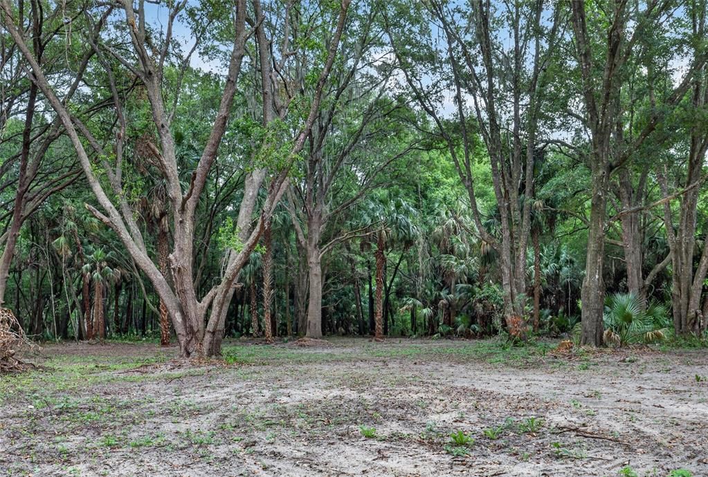 На продажу: $199,999 (5.49 acres)
