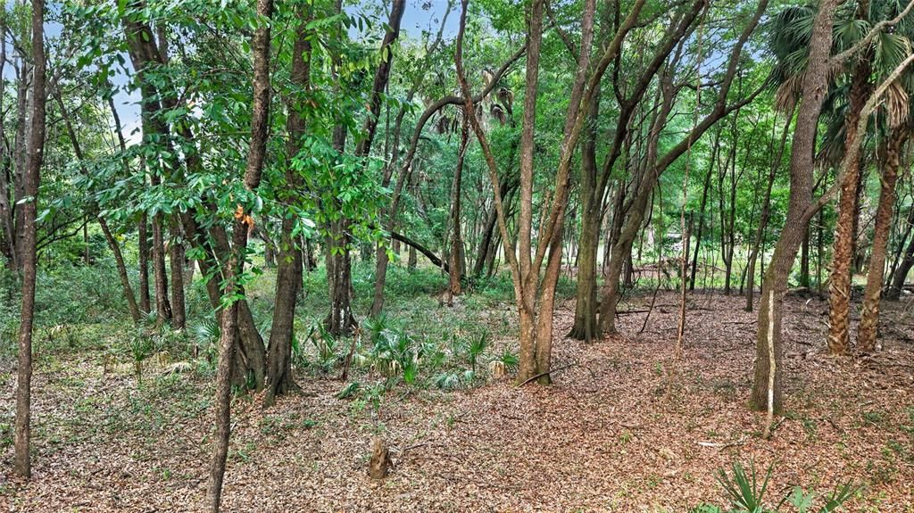 На продажу: $199,999 (5.49 acres)