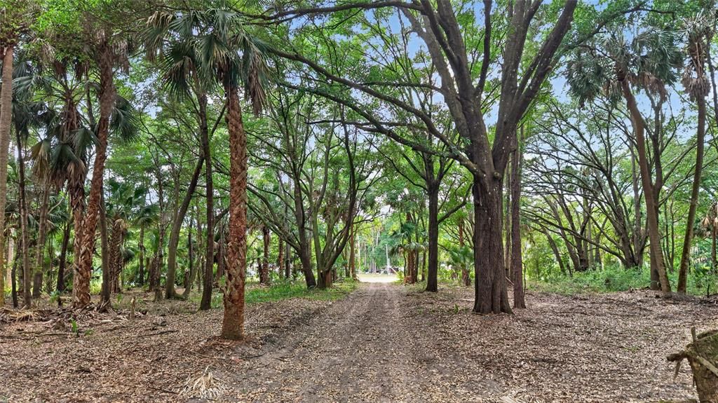 На продажу: $199,999 (5.49 acres)