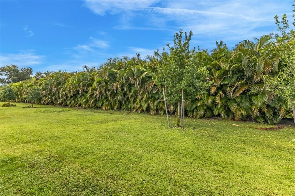 For Rent: $2,100 (2 beds, 2 baths, 1516 Square Feet)