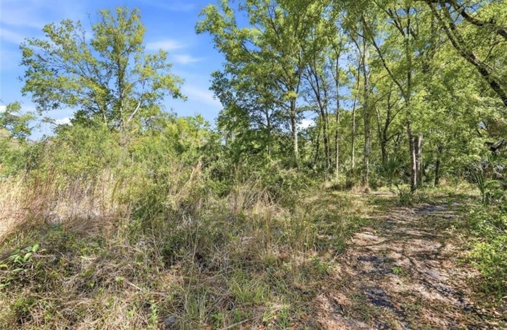 Vendido Recientemente: $14,000 (0.35 acres)