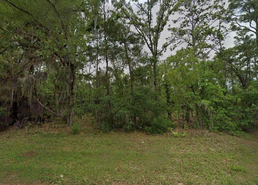 待售: $39,000 (0.29 acres)