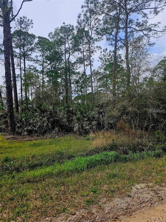 En Venta: $35,000 (0.26 acres)