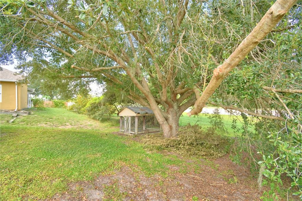 For Rent: $1,595 (3 beds, 2 baths, 1475 Square Feet)