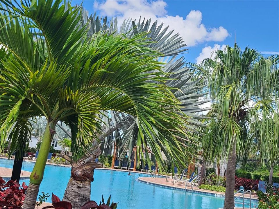 For Rent: $3,500 (4 beds, 2 baths, 2045 Square Feet)