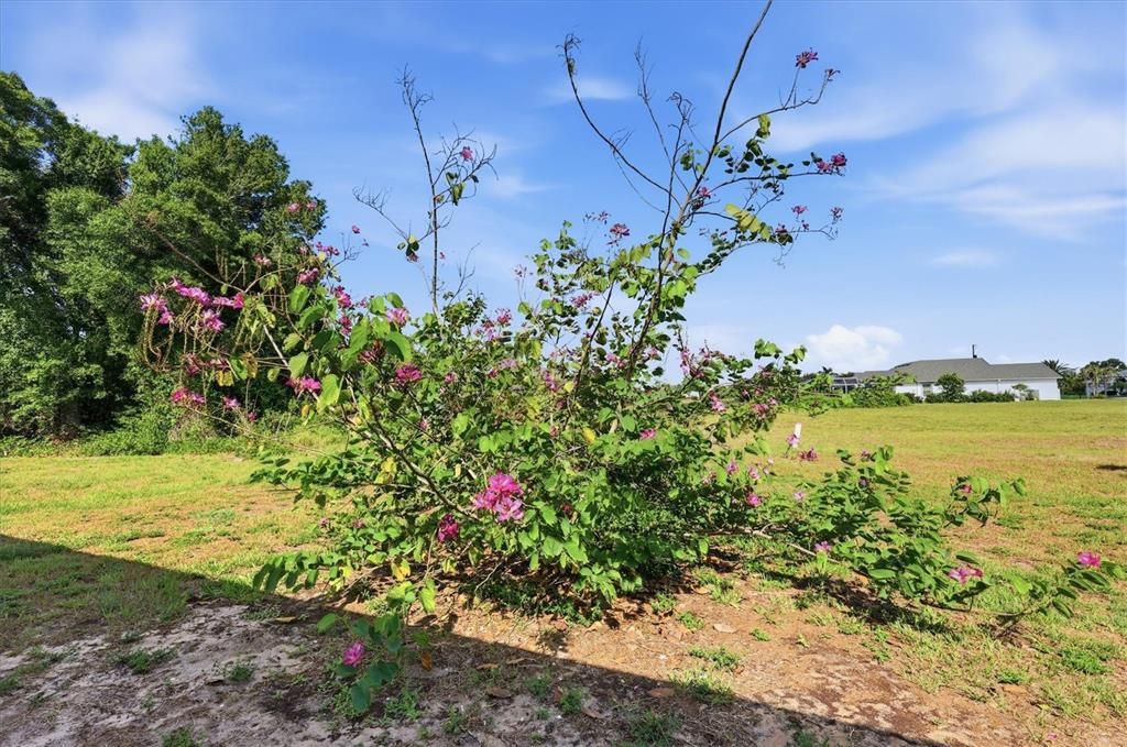 На продажу: $325,000 (4 спален, 2 ванн, 1846 Квадратных фут)