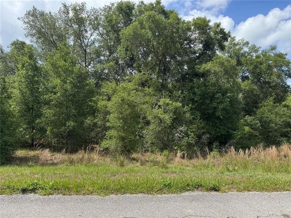 For Sale: $99,900 (0.94 acres)