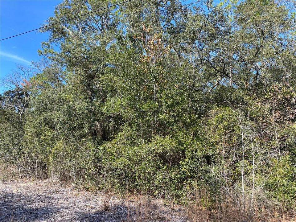 На продажу: $18,000 (0.24 acres)