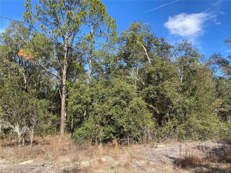На продажу: $18,000 (0.24 acres)
