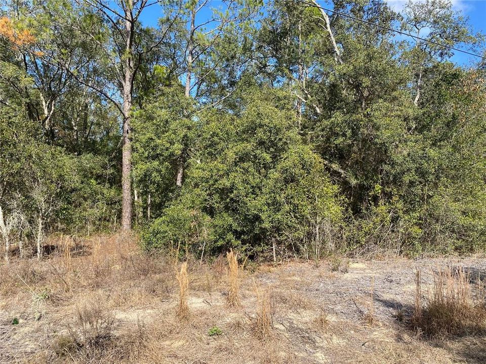 На продажу: $18,000 (0.24 acres)