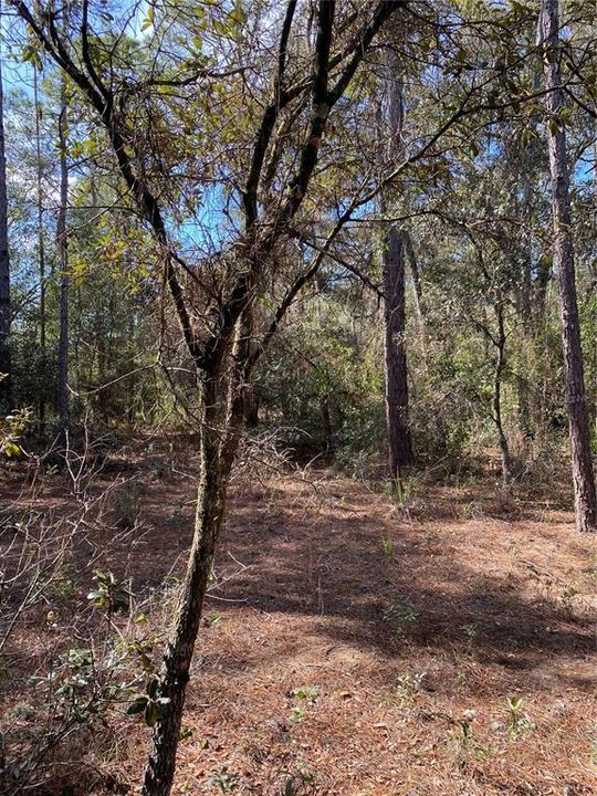 На продажу: $18,000 (0.24 acres)