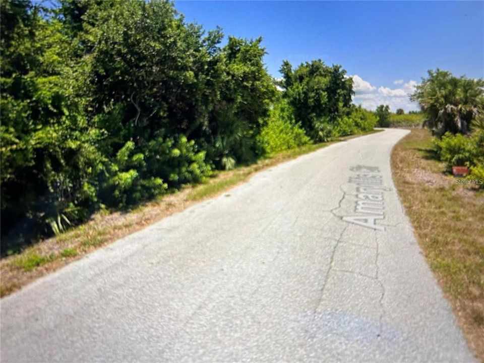 For Sale: $27,500 (0.25 acres)
