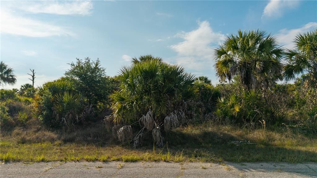 En Venta: $12,000 (0.23 acres)