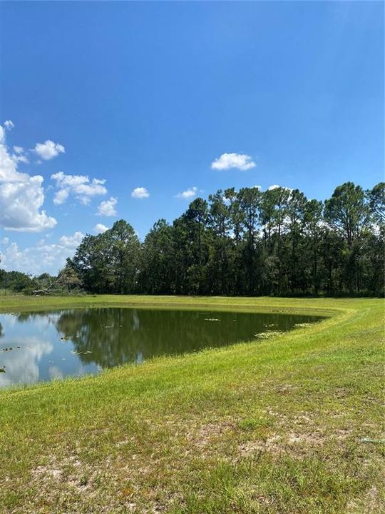 En Venta: $549,000 (5.00 acres)
