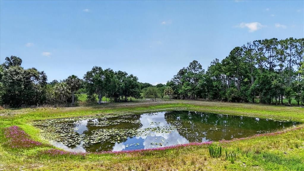 En Venta: $549,000 (5.00 acres)