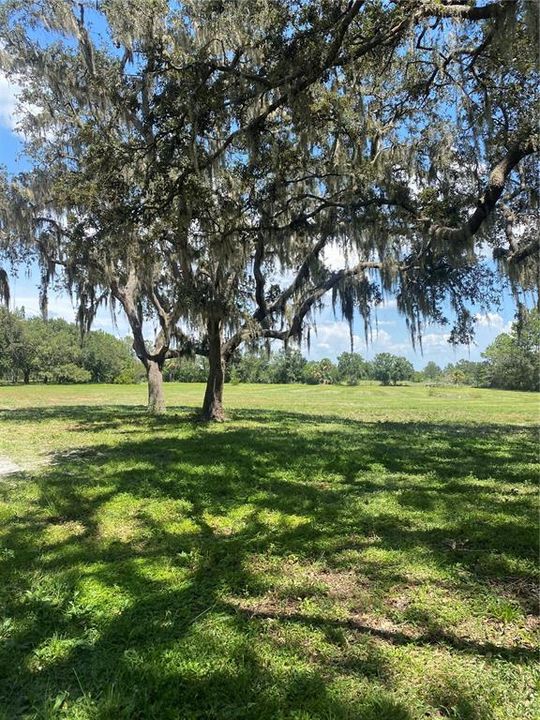 En Venta: $549,000 (5.00 acres)