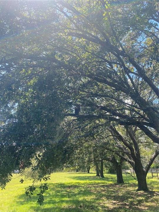 En Venta: $549,000 (5.00 acres)