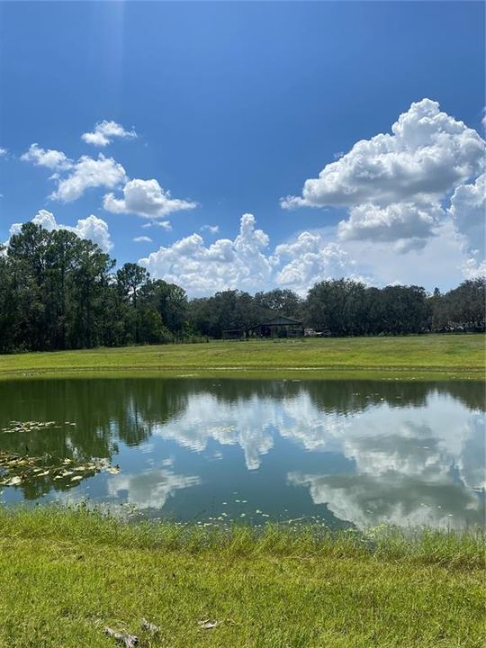 En Venta: $549,000 (5.00 acres)