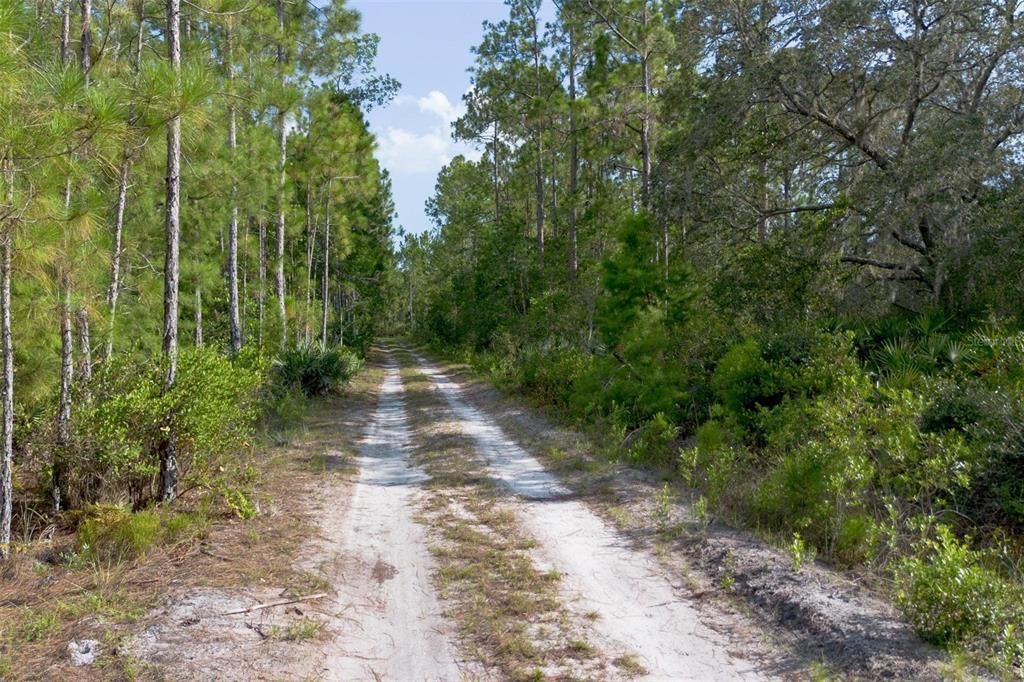 For Sale: $225,000 (13.81 acres)