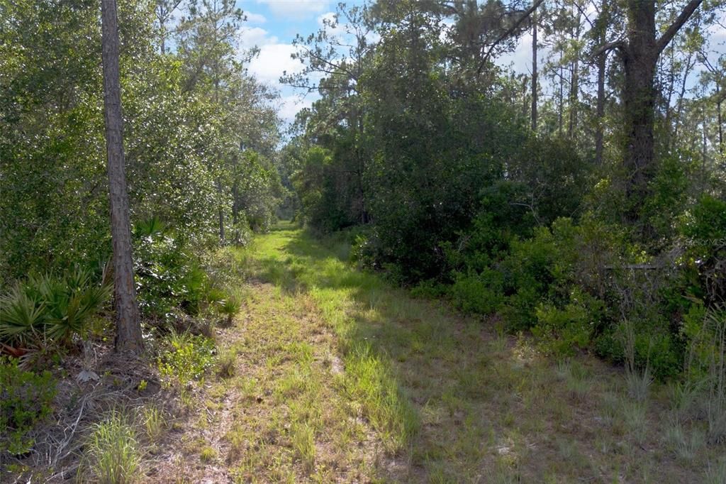 For Sale: $225,000 (13.81 acres)