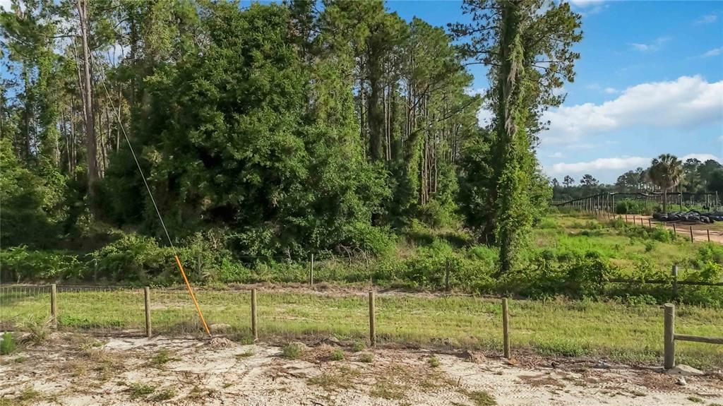 For Sale: $1,500,000 (20.54 acres)